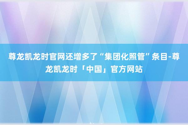 尊龙凯龙时官网还增多了“集团化照管”条目-尊龙凯龙时「中国」官方网站