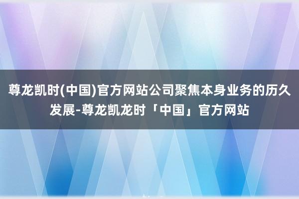 尊龙凯时(中国)官方网站公司聚焦本身业务的历久发展-尊龙凯龙时「中国」官方网站
